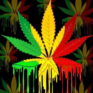 Meet your Posher, Samuel